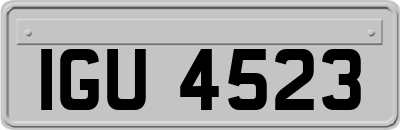 IGU4523