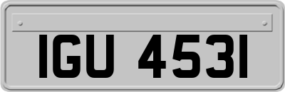 IGU4531