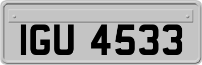IGU4533
