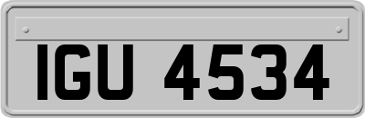 IGU4534