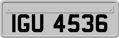 IGU4536