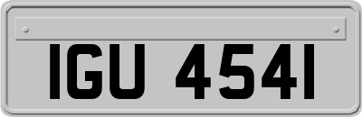 IGU4541