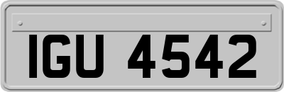 IGU4542
