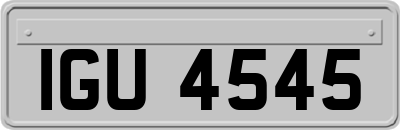 IGU4545
