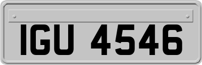 IGU4546