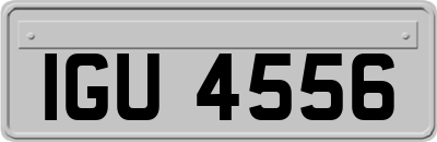 IGU4556