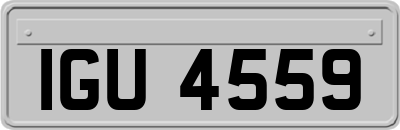 IGU4559