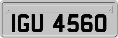 IGU4560