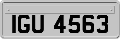 IGU4563