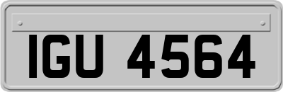 IGU4564