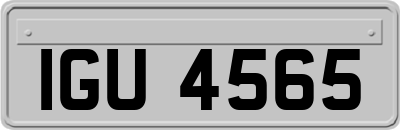 IGU4565
