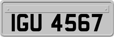 IGU4567