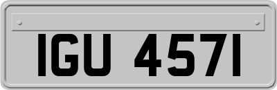 IGU4571