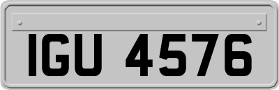 IGU4576