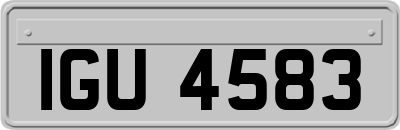 IGU4583