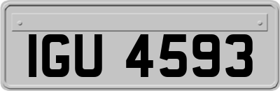 IGU4593