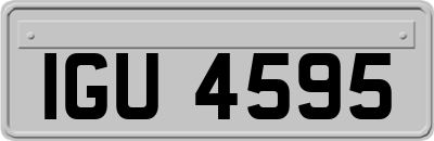 IGU4595