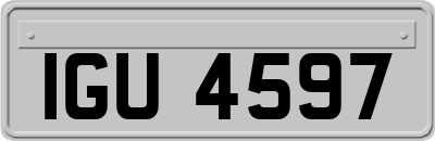 IGU4597