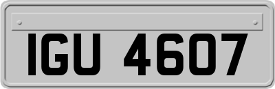 IGU4607