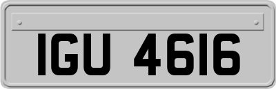 IGU4616