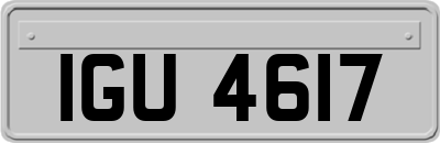 IGU4617