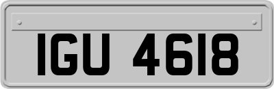IGU4618