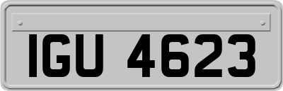 IGU4623