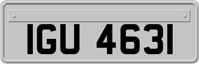 IGU4631