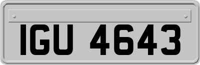 IGU4643