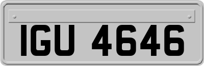 IGU4646