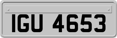 IGU4653
