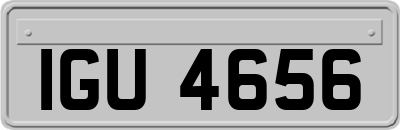 IGU4656