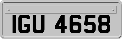 IGU4658
