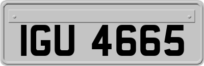 IGU4665