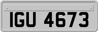 IGU4673