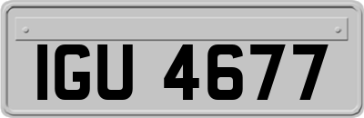 IGU4677