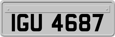 IGU4687