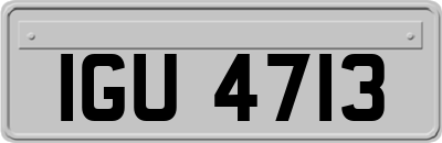 IGU4713