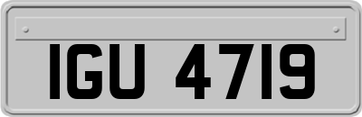 IGU4719