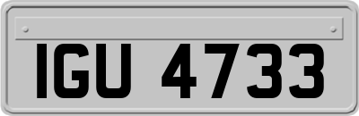 IGU4733