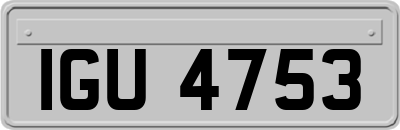 IGU4753