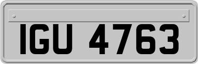 IGU4763