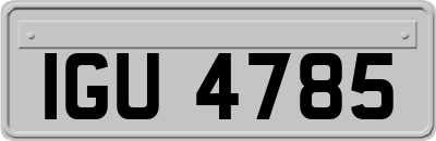 IGU4785