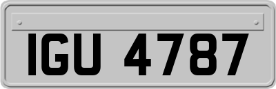 IGU4787