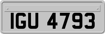 IGU4793