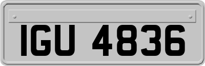 IGU4836