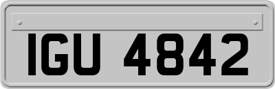 IGU4842