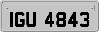 IGU4843