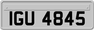 IGU4845