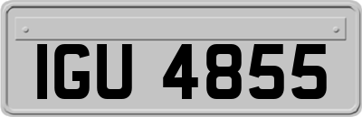 IGU4855